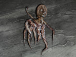 Raw Whole Octopus 2-3kg